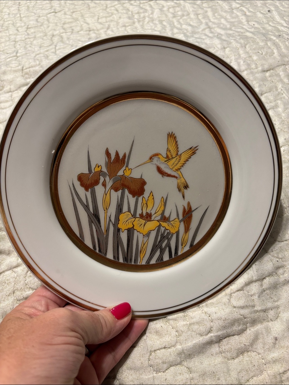 Classic Floral Hummingbird Decorative Dinner Plate - White and Gold